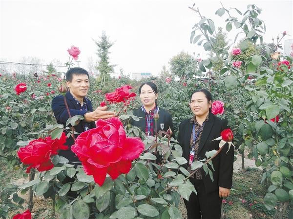 120畝花卉園引來(lái)人大代表視察