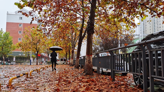 雨中周口，別有一番韻味